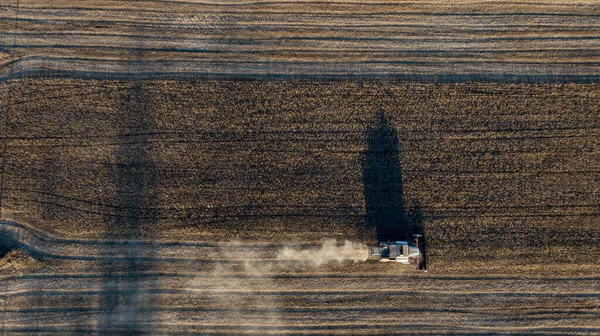 Soya alanı birleştirmek ile geç yaz aylarında hasat.
