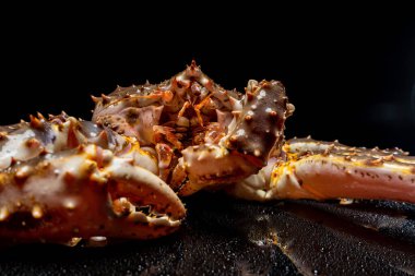 Çiğ canlı Kamçatka yengeci Paralithodes camtschatica, siyah bir arka planda izole edilmiş.