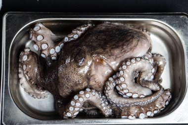 Çiğ ahtapot, siyah arka planda demir bir tabakta yemek yapmaya hazır.