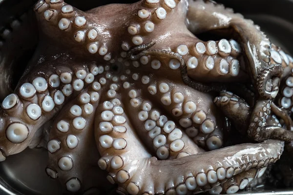 Çiğ ahtapot, siyah arka planda demir bir tabakta yemek yapmaya hazır.