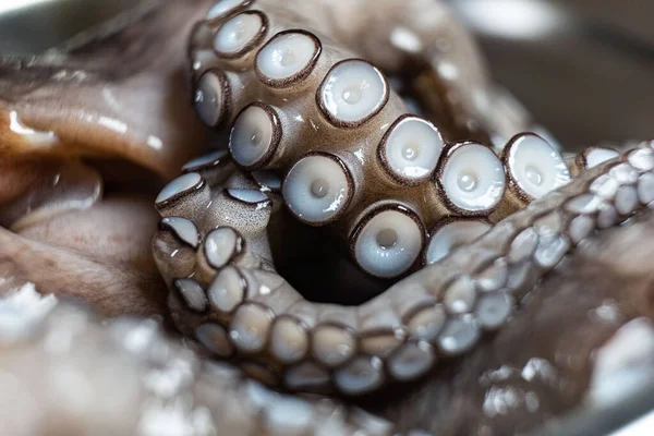 raw octopus, ready to cook a dish in an iron plate on a black background