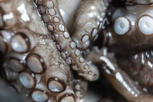 raw octopus, ready to cook a dish in an iron plate on a black background