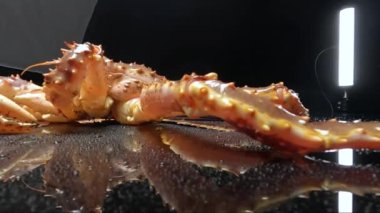 Siyah arka planda büyük kırmızı bir Kamçatka yengecine yakın plan. seyahat kameraları