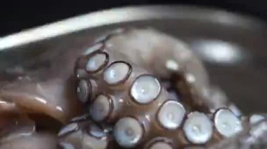 Büyük dokunaçları olan çiğ bir ahtapot bir tabakta yatıyor. Lüks bir restoranda deniz ürünleri. Makro video.
