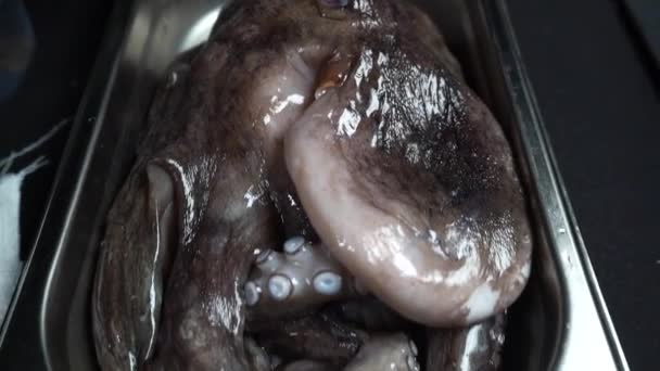Une pieuvre crue avec de grands tentacules se trouve dans une assiette. Fruits de mer dans un restaurant de luxe. Macro vidéo. — Video