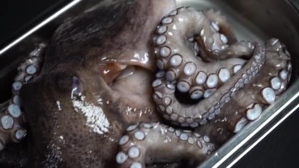 Een rauwe octopus met grote tentakels ligt in een bord. Zeevoedsel in een luxe restaurant. Macro-video. — Stockvideo