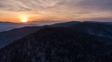 Dağ ormanındaki hava aracı görüntüsü. Kış manzarası. Karlı firavun ve çam ağaçları. Kış ormanı manzaralı karlı bir ağaç dalı. Kış manzarası, orman, buzla kaplı ağaçlar, kar. Yüksek