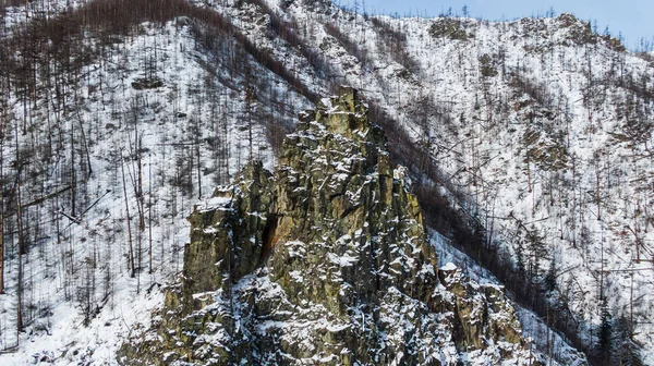 Uitzicht Drone Vanuit Lucht Het Bergwoud Winterlandschap Snowy Fir Dennenbomen — Stockfoto