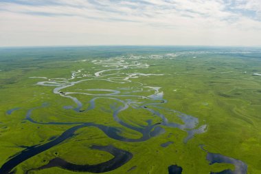 Nehir manzaralı bir hava aracından ateş ediliyor. Yeşil arka planda bir nehir. Amur nehri kuş bakışı 
