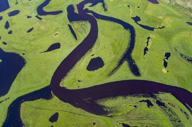Nehir manzaralı bir hava aracından ateş ediliyor. Yeşil arka planda bir nehir. Amur nehri kuş bakışı 