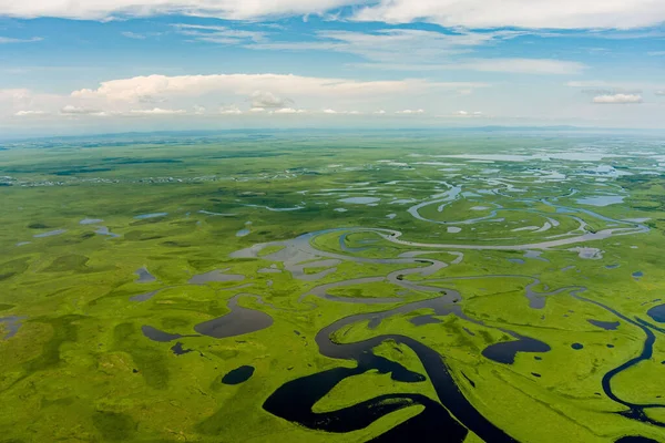 river top view shooting from a drone . river on a green background. amur river birds-eye view