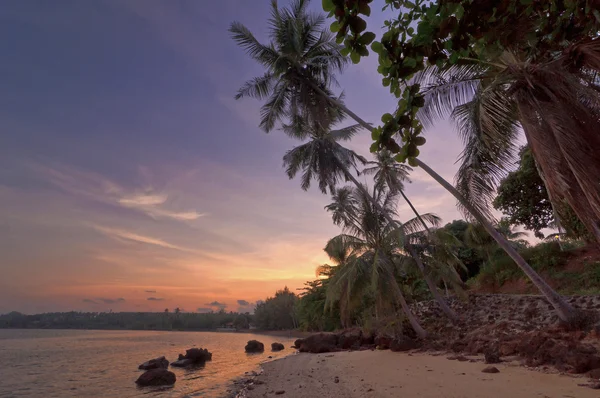 Ilha tropical — Fotografia de Stock