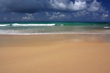 tropikal, egzotik, kumlu plaj dalgalar