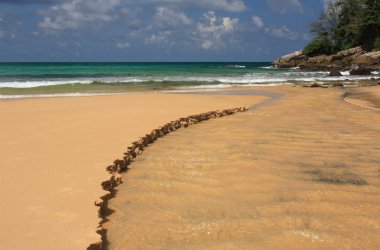 tropikal, egzotik, kumlu plaj dalgalar