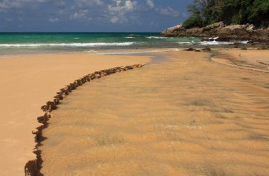 tropikal, egzotik, kumlu plaj dalgalar