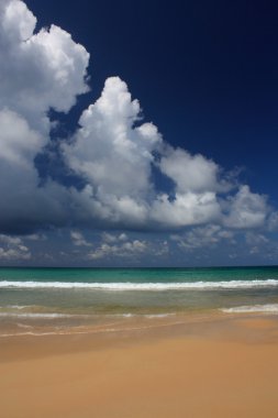 tropikal, egzotik, kumlu plaj dalgalar