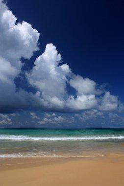 tropikal, egzotik, kumlu plaj dalgalar