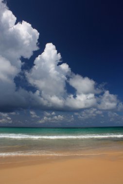 tropikal, egzotik, kumlu plaj dalgalar