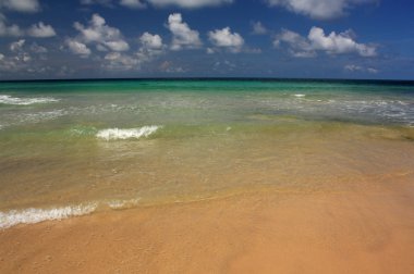 tropikal, egzotik, kumlu plaj dalgalar