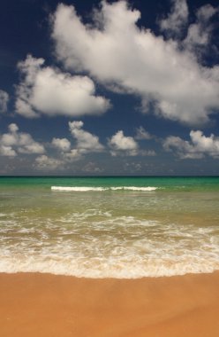 tropikal, egzotik, kumlu plaj dalgalar