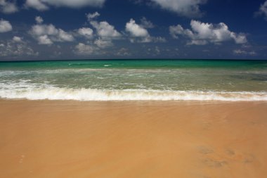 tropikal, egzotik, kumlu plaj dalgalar