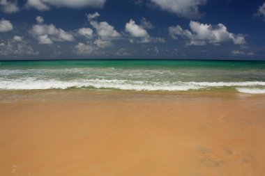 tropikal, egzotik, kumlu plaj dalgalar