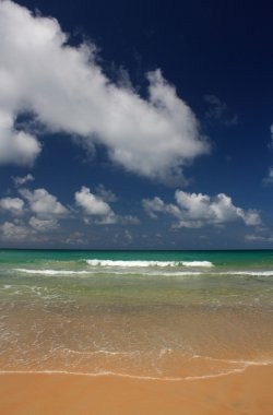 tropikal, egzotik, kumlu plaj dalgalar