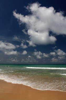 tropikal, egzotik, kumlu plaj dalgalar