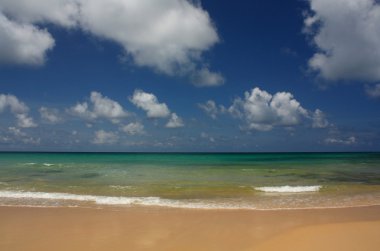 tropikal, egzotik, kumlu plaj dalgalar