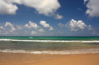 tropikal, egzotik, kumlu plaj dalgalar