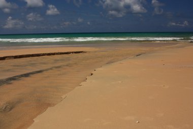 tropikal, egzotik, kumlu plaj dalgalar