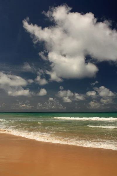 Onde sulla spiaggia tropicale, esotica e sabbiosa — Foto Stock