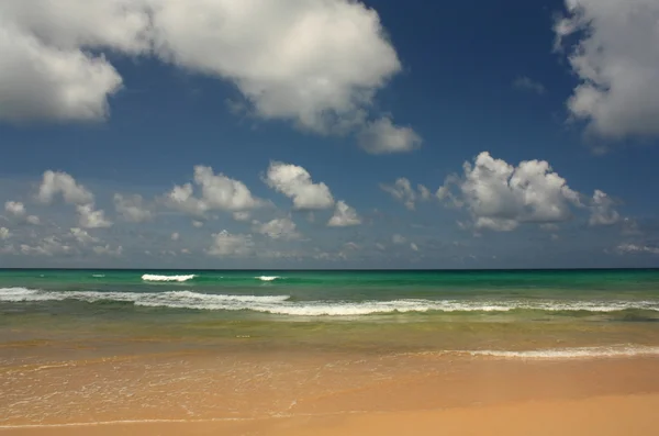 Κύματα στην τροπικά, εξωτικά, αμμώδη παραλία — Φωτογραφία Αρχείου