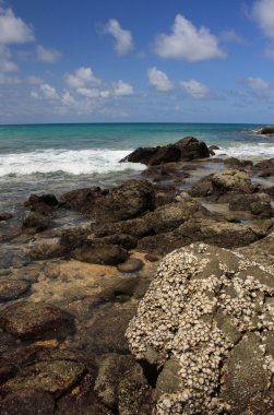 taşlar hakkında egzotik, tropik, kumlu plaj
