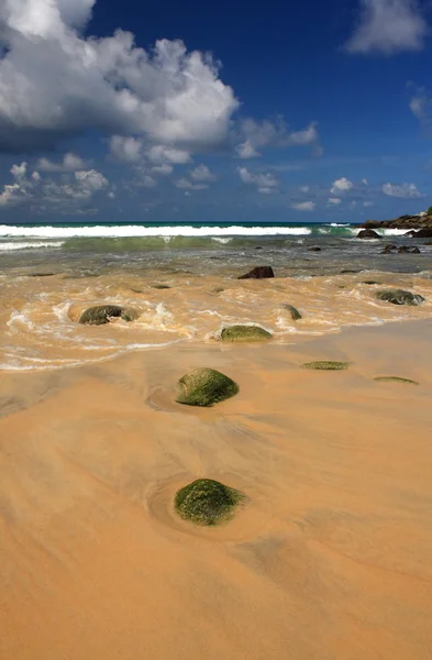 Pedras em exótico, tropical, praia de areia — Fotografia de Stock