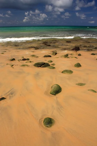 Камни на экзотическом, тропическом, песчаном пляже — стоковое фото
