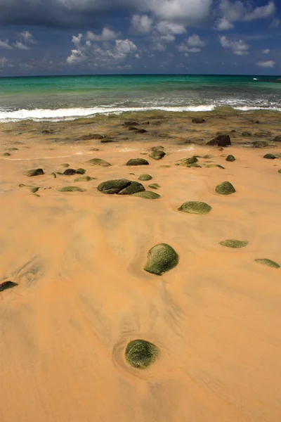 Pierres sur plage exotique, tropicale, sablonneuse — Photo