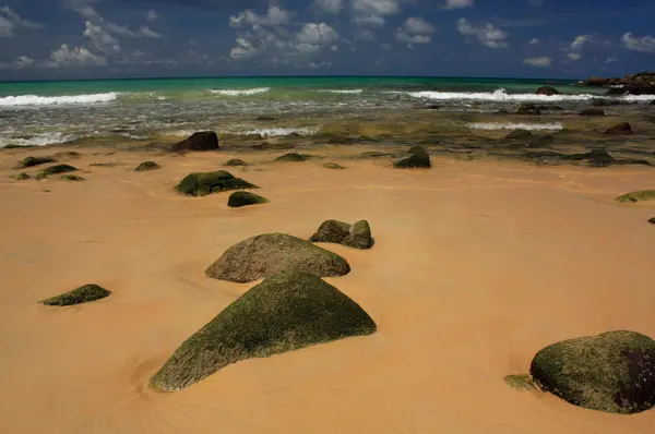 Pierres sur plage exotique, tropicale, sablonneuse — Photo