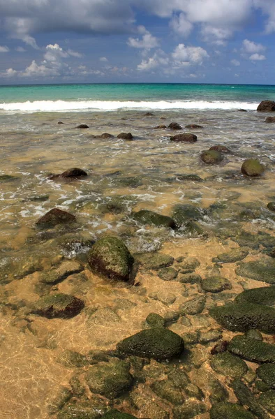 Steine am exotischen, tropischen Sandstrand — Stockfoto