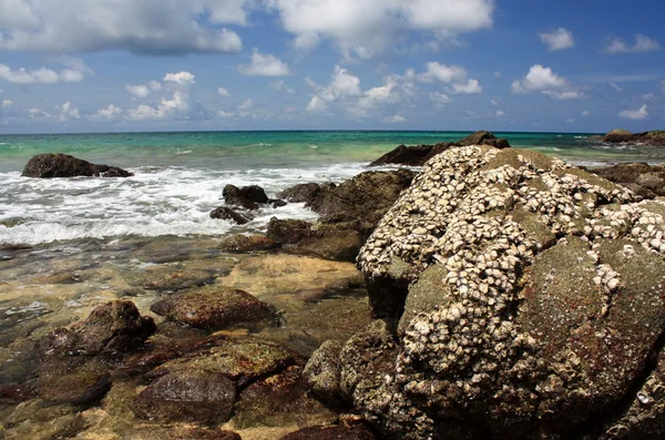 Pierres sur plage exotique, tropicale, sablonneuse — Photo