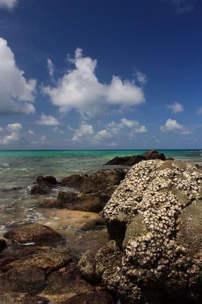 Stenen op exotische, tropische, zandstrand — Stockfoto