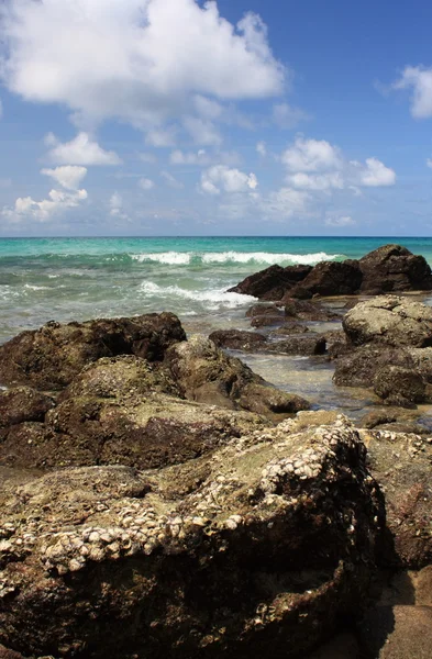 Pierres sur plage exotique, tropicale, sablonneuse — Photo