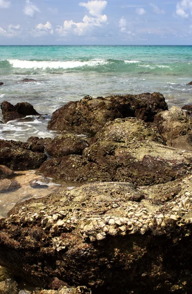 Pierres sur plage exotique, tropicale, sablonneuse — Photo