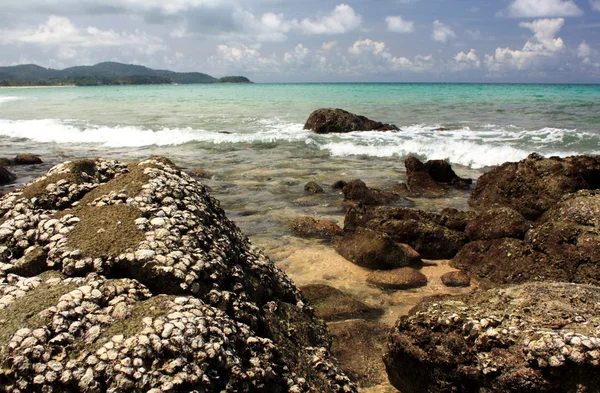 taşlar hakkında egzotik, tropik, kumlu plaj