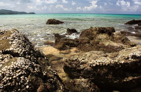 Pierres sur plage exotique, tropicale, sablonneuse — Photo