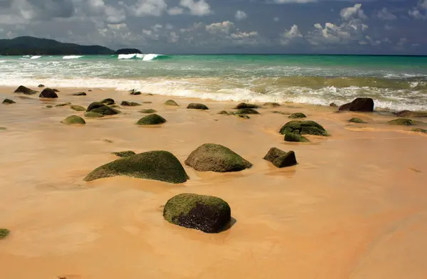 Stenen op exotische, tropische, zandstrand — Stockfoto