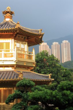 Genel nan lian Bahçe, chi lin rahibe manastırı, hong kong.