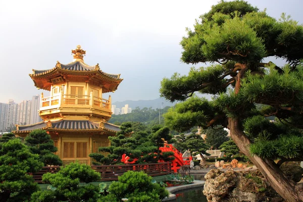 Jardim Nan Lian, Hong Kong . — Fotografia de Stock