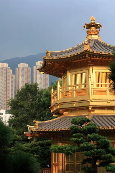 Jardín Nan Lian, Hong Kong . —  Fotos de Stock