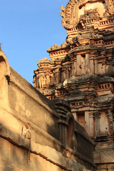 Opičí chrám (hanuman chrám) v hampi, Indie. — Stock fotografie